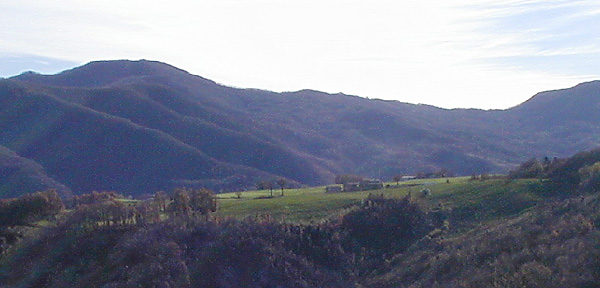 Veduta dei campi intorno all'Abbazia