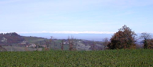 Panorama delle Alpi visto dall'Abbazia